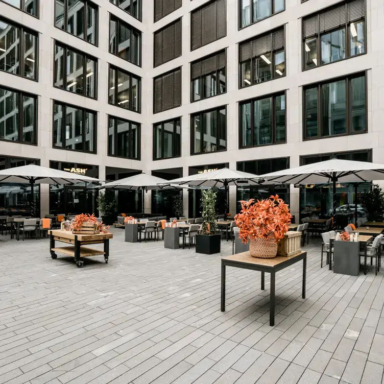 the-ash-frankfurt-3