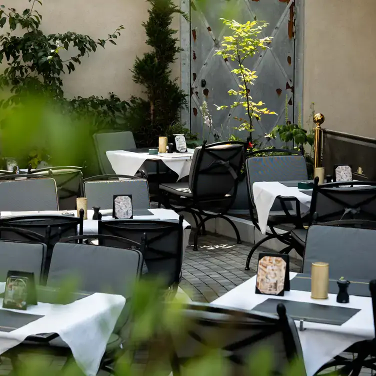 cafe-wintergarten-3