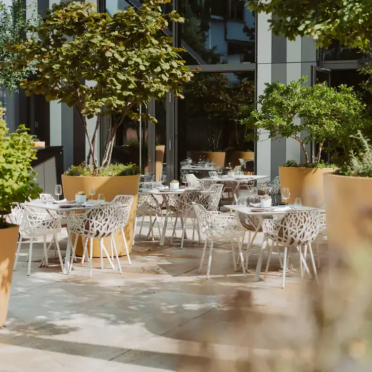 restaurant-the-cord4